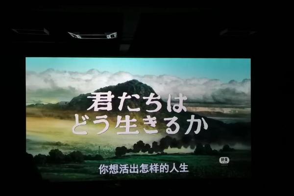 可爱的女人：命格与人生的奇妙旅程