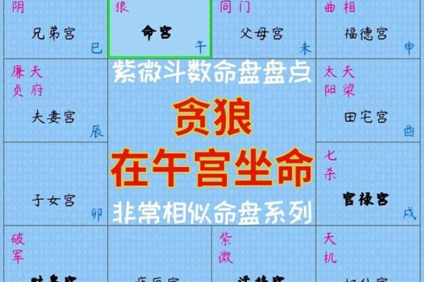 贪狼入命性格解析:如何发掘出贪狼特质的最佳人生道路 贪狼入命性格解析:如何发掘出贪狼特质的最佳人生道路