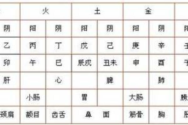 2023年出生的宝宝，什么命最旺盛？揭秘命理奥秘！