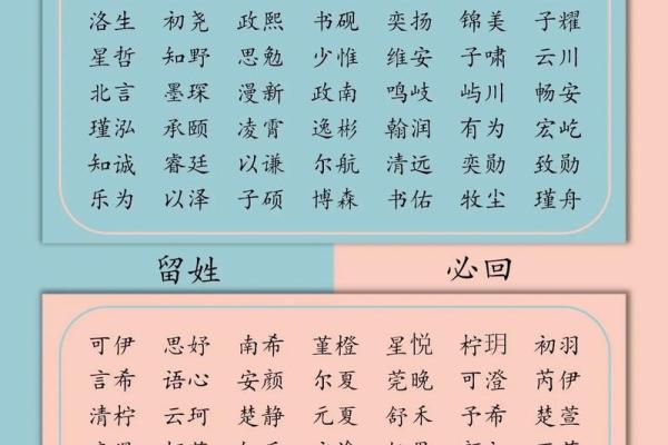 2023年出生的宝宝，什么命最旺盛？揭秘命理奥秘！