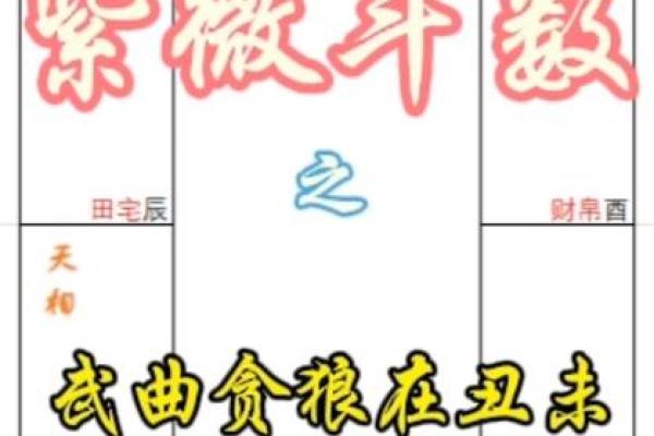 贪狼入命性格解析:如何发掘出贪狼特质的最佳人生道路 贪狼入命性格解析:如何发掘出贪狼特质的最佳人生道路