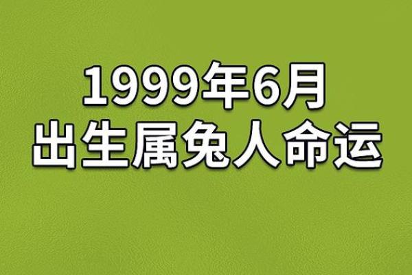 1987年女兔的命运与人生：温柔与智慧的完美结合