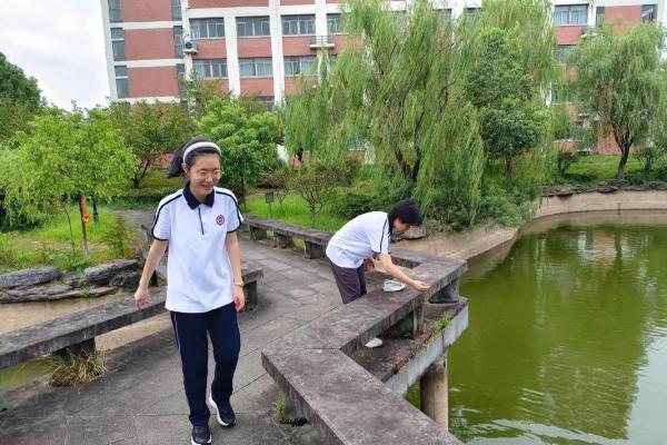 父母命:承载着爱的重担与未来的希望 父母命:承载着爱的重担与未来的希望