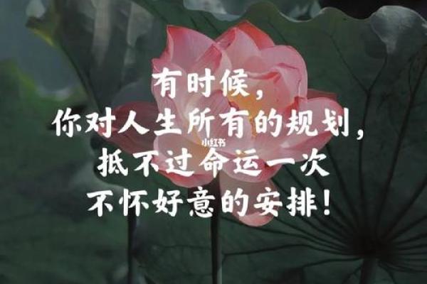 揭开十二星座男女的命运之谜:不同星座的命运解析与人生启示 揭开十二星座男女的命运之谜:不同星座的命运解析与人生启示