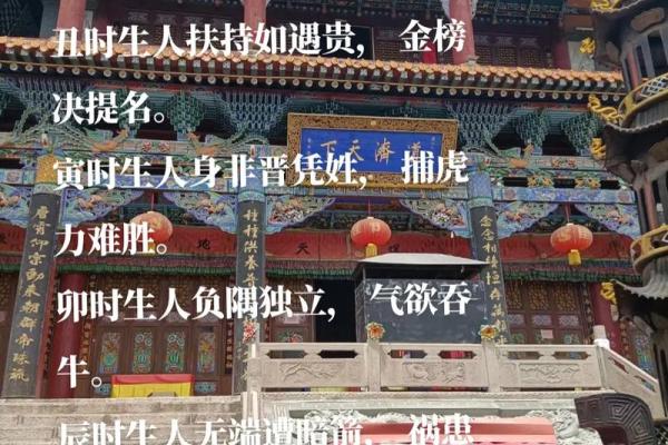 探秘2010年虎年命理解读：生于虎年的人生奥秘