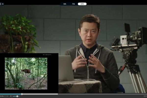 松柏木命与颜色忌讳：带你走进命理与色彩的奥秘