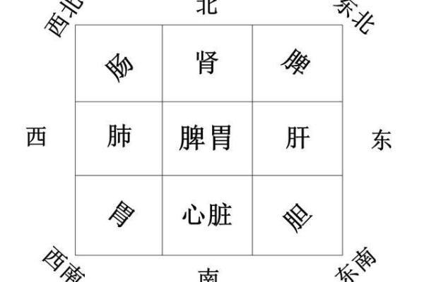 探索2005腊月十五的命运之谜：揭开生肖和五行的奥秘