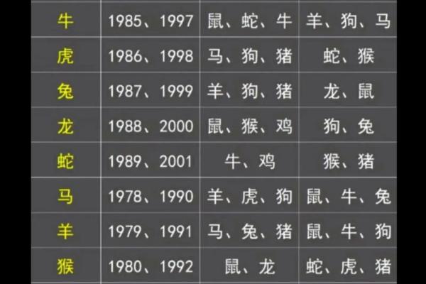 揭秘1996腊月22日出生者的命理特征与人生机遇