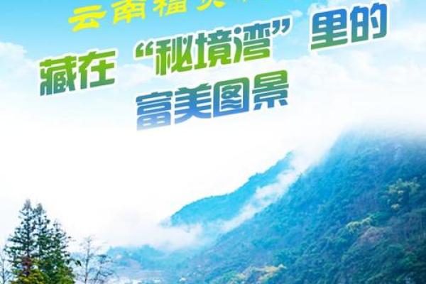 探寻地支藏命秘境，哪种命最具发财潜力？