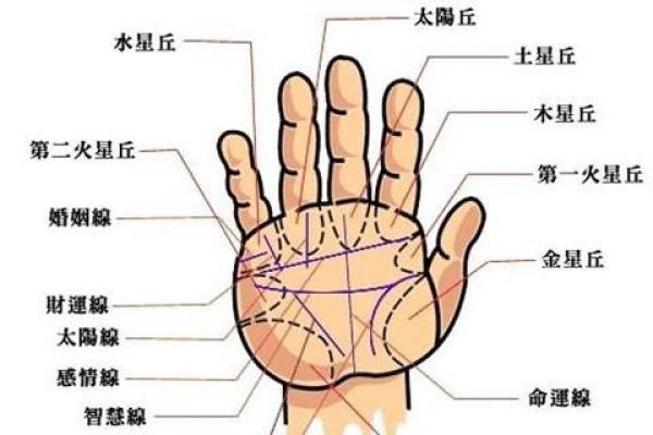 女人6螺纹命运揭秘：从手相看你的性格与未来方向