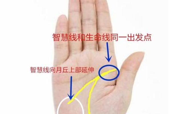 从手相看命运的秘密：解读生命线与智慧线的奥妙