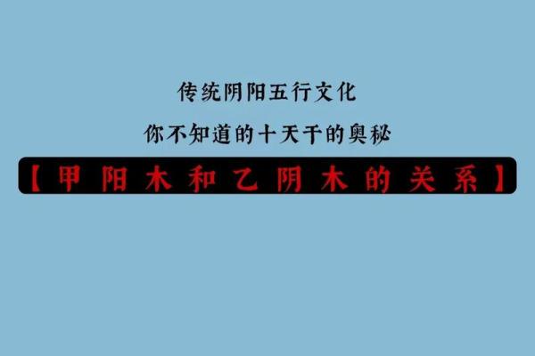 探索命理的奥秘：如何通过命理提升生活品质与运势