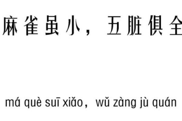 命运之路：探寻成语中的智慧与命理启示