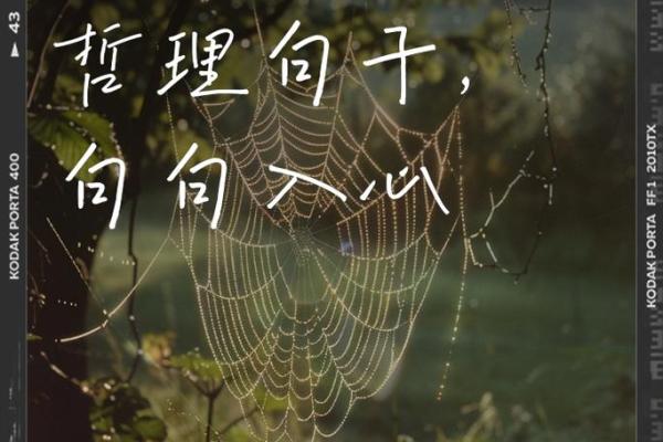 太阴女命：适合的职业与人生方向探讨