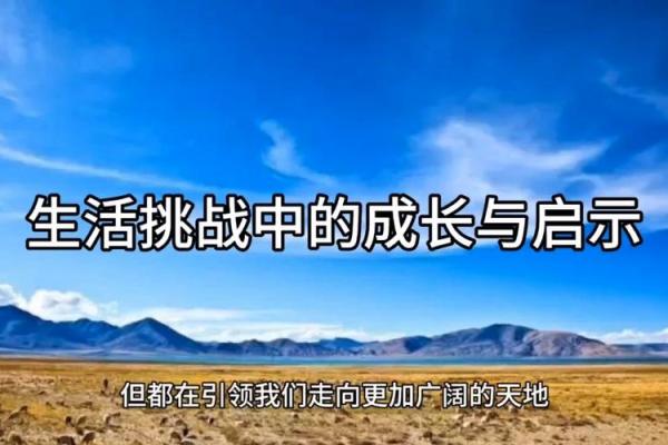 属狗人的命运与季节：狗年出生者的吉祥方位与生活启示