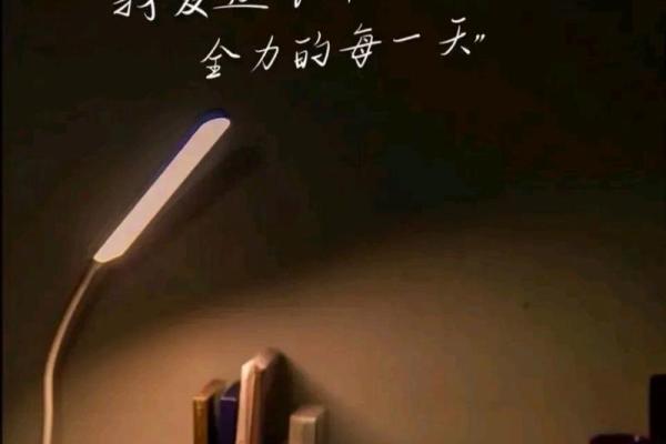 《这就是命：生活的无奈与意外之旅》