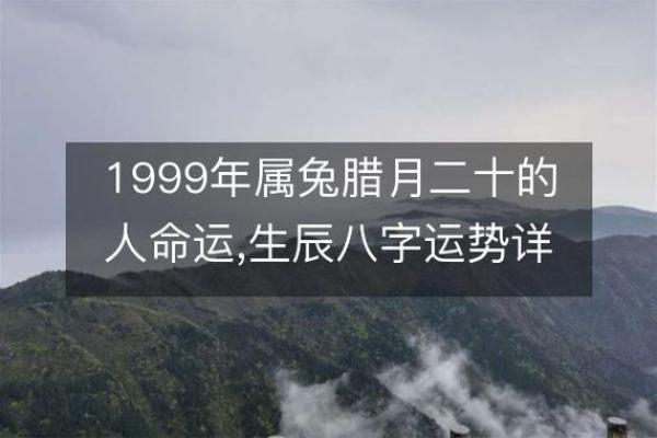 1999年属兔人的命运分析与生活指导