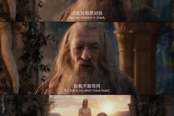 《这就是命：生活的无奈与意外之旅》