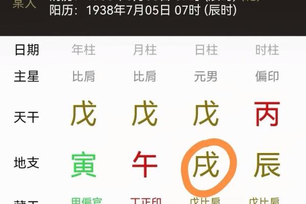 戊戌年出生的人：命理解析与人生机遇