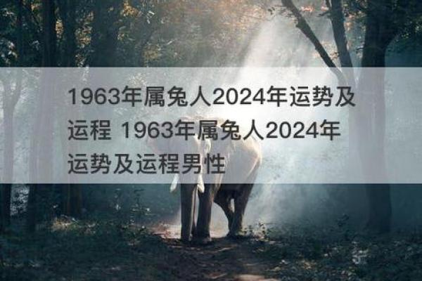1999年属兔人的命运分析与生活指导