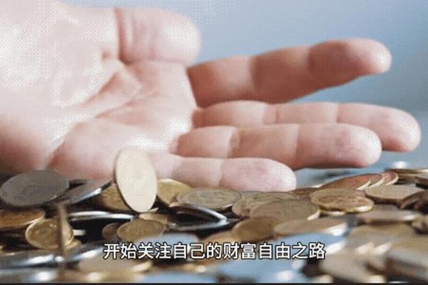 1959年属猪人的命运解析：走向未来的智慧与财富之路