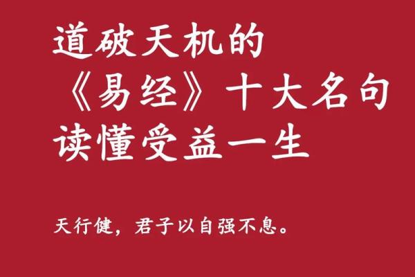 从“负”字看命运：揭示成语背后的深意与智慧