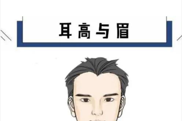 耳朵靠后的人命运解析：神秘特色与人生轨迹探讨