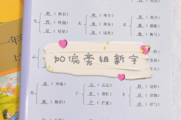 命偏旁与组词之美：探寻汉字背后的智慧与魅力