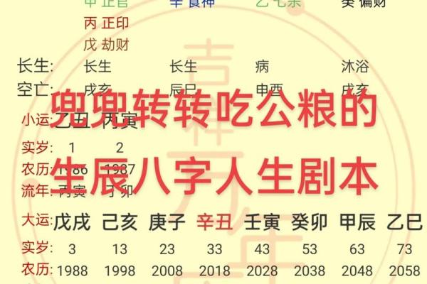 解密命理：探索生辰八字与命格的奥秘与分类方法