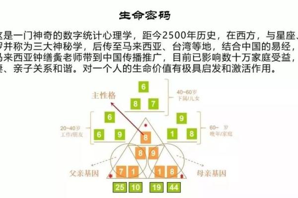 35岁属鼠的命运解析：揭开生命密码的神秘面纱