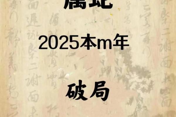 41岁属小龙：揭示小龙命运的秘密与诸多机遇