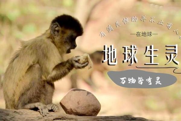 命运多舛的动物：揭示那些被称为不吉利的生灵