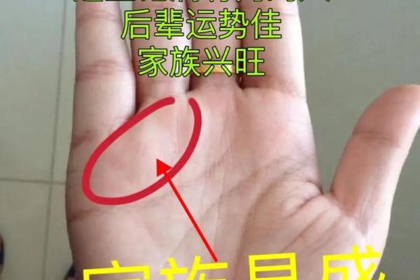 手相中的横线分析：揭示你命运的秘密