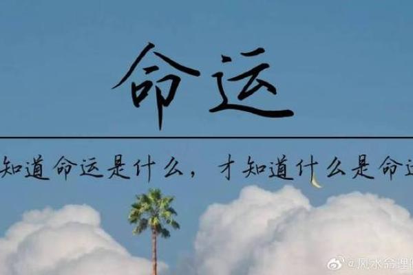 命理高手的绝招：洞悉命运，掌握人生的秘密