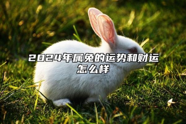 命理中天财代表什么？探讨财富与运势的深层联系！