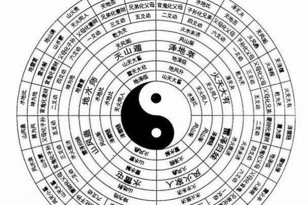 探索风水命理学：适合你的最佳专业选择