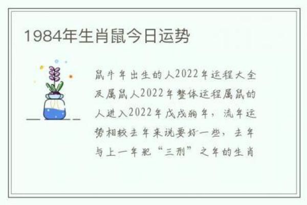 1996年丙子鼠的命运分析与人生启示