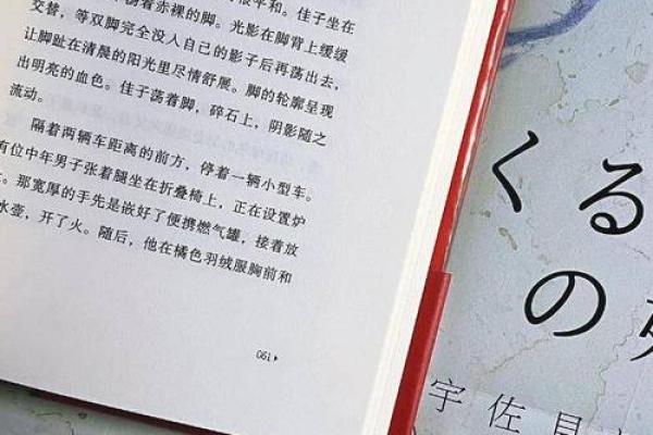 探寻“你不惜命”的背后故事：情感与生命的深刻交织