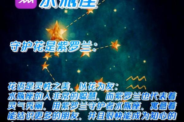 探秘十二星座命运与性格：灵性与运势的交织之旅