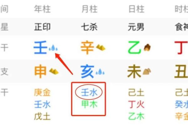 双蛇出洞命理解读：寻找命运的奥秘与启示