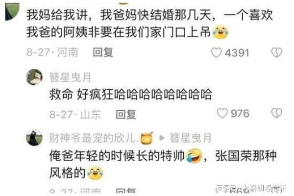 九命猫441的神秘与魅力：你不知道的背后故事