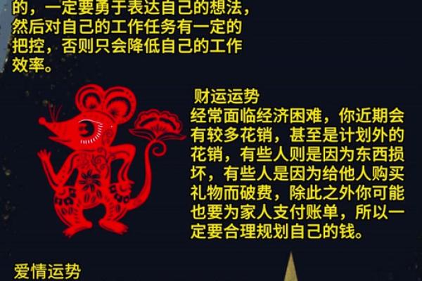 2008年老鼠年：探寻鼠命里缺失的食材与运势提升之道