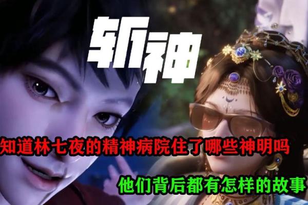 九命猫441的神秘与魅力：你不知道的背后故事