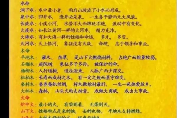 2002年生肖马：金命的探索与人生智慧