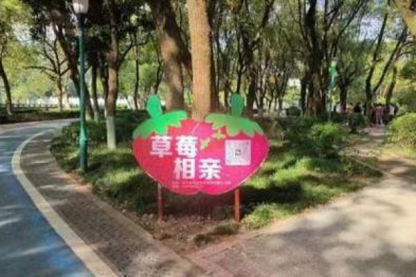 相约爱海：探索婚恋相亲APP的魅力与机遇