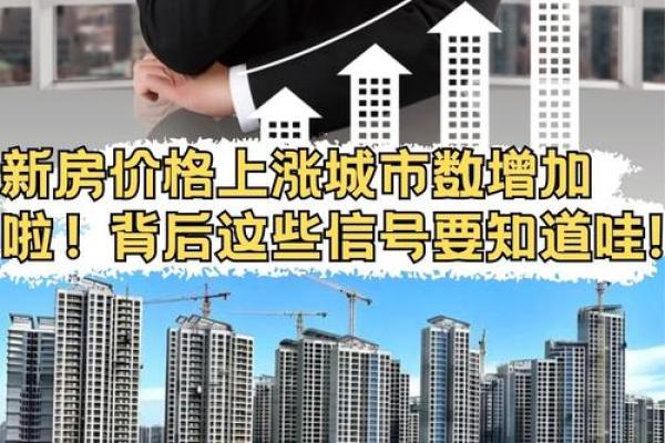 乙卯城头土命之人佩戴饰品的最佳选择与意义探讨