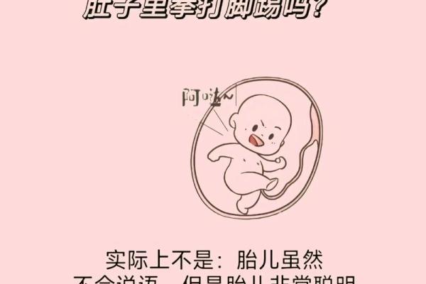 2024年出生宝宝命运解析：鼠年宝贝的未来与寓意