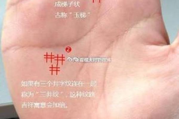 揭示你手相中的命运秘密：一些特征暗示人生不如意