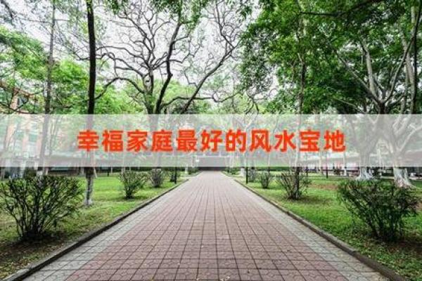 风水命理入门：探索生活的能量与和谐之道