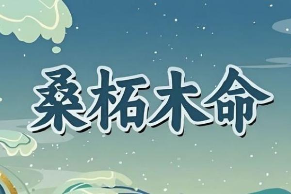 桑松木命的魅力与智慧：解密数字背后的奥秘
